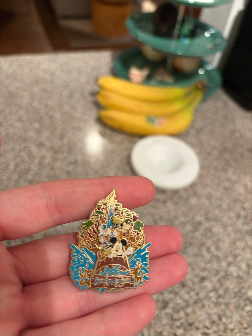 Disney Trading Pins - Splash Mountain Slider